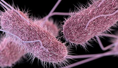 New salmonella strain from ‘unknown food source’ infects more than 200 people, CDC says
