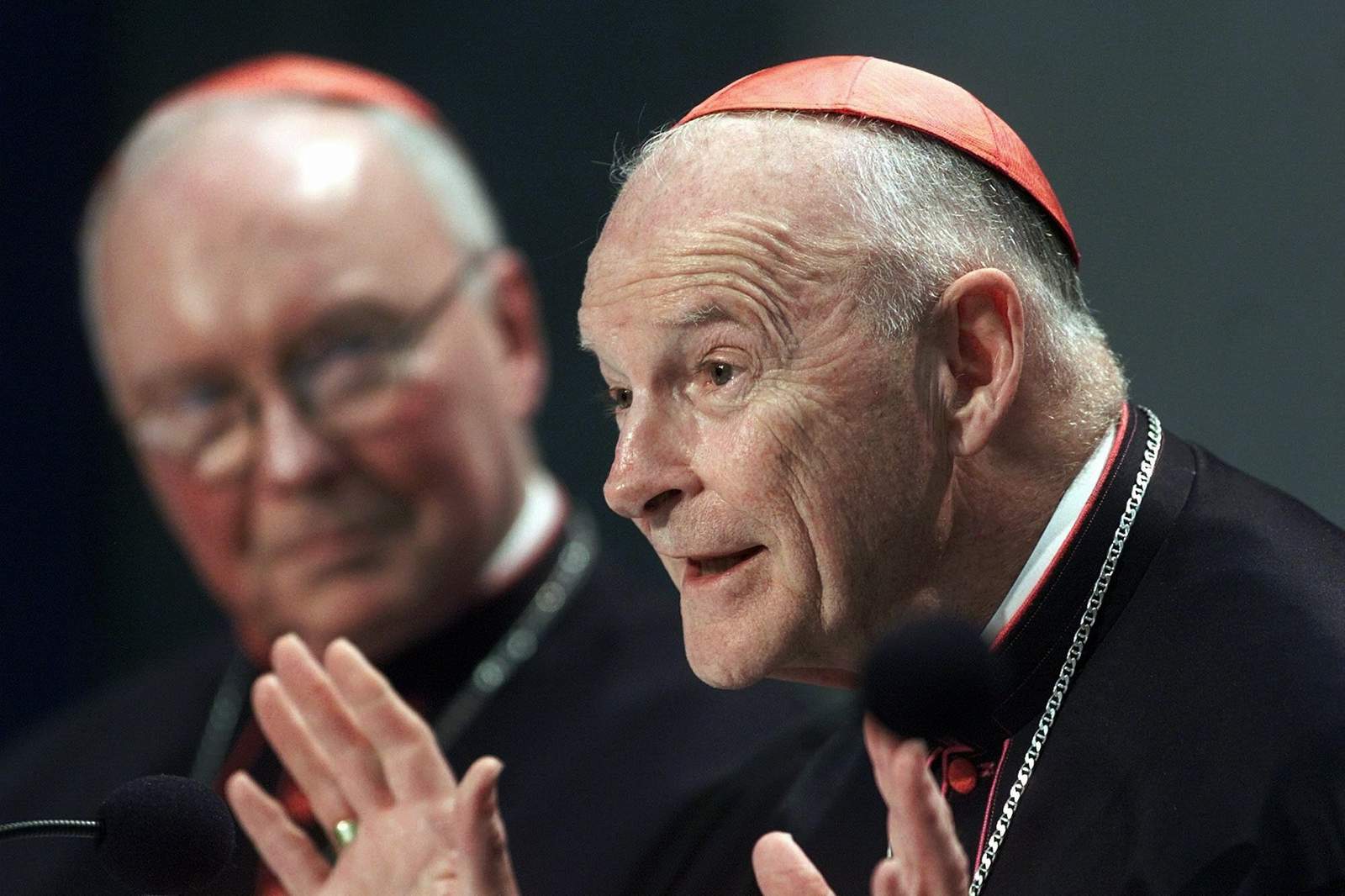 Vatican faults others for McCarrick's rise, spares Francis