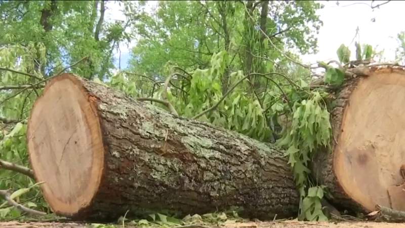 Authorities release name of 34-year-old Rustburg man who died during Tuesday’s storms