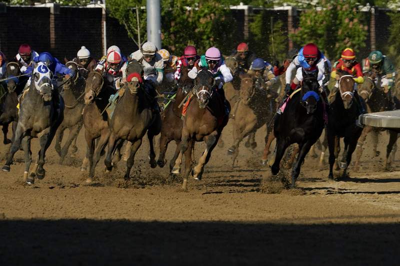 The Latest: Belmont Stakes to have at least 11,000 fans
