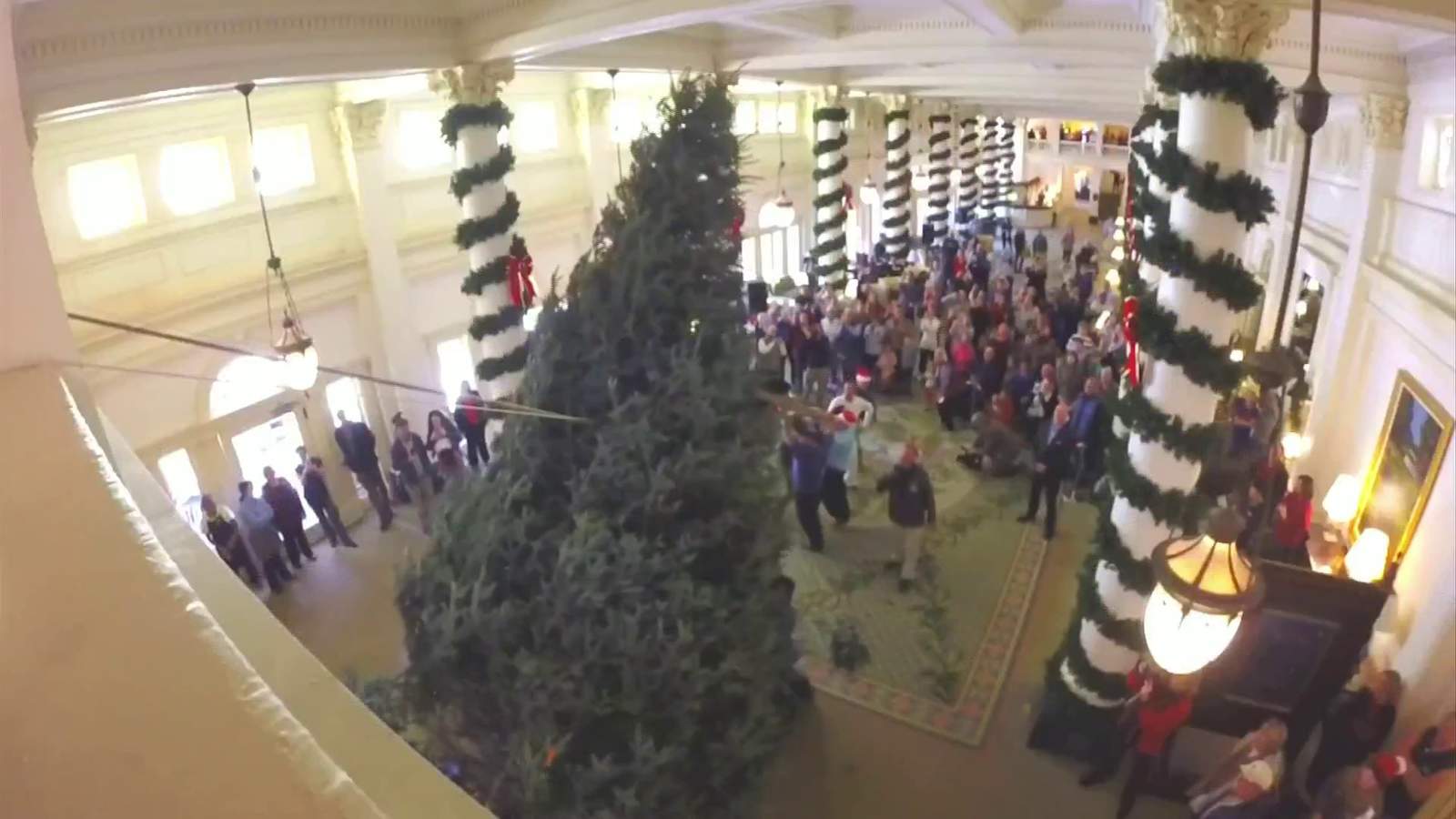 Homestead brings in 22-foot Christmas tree as visitors look on