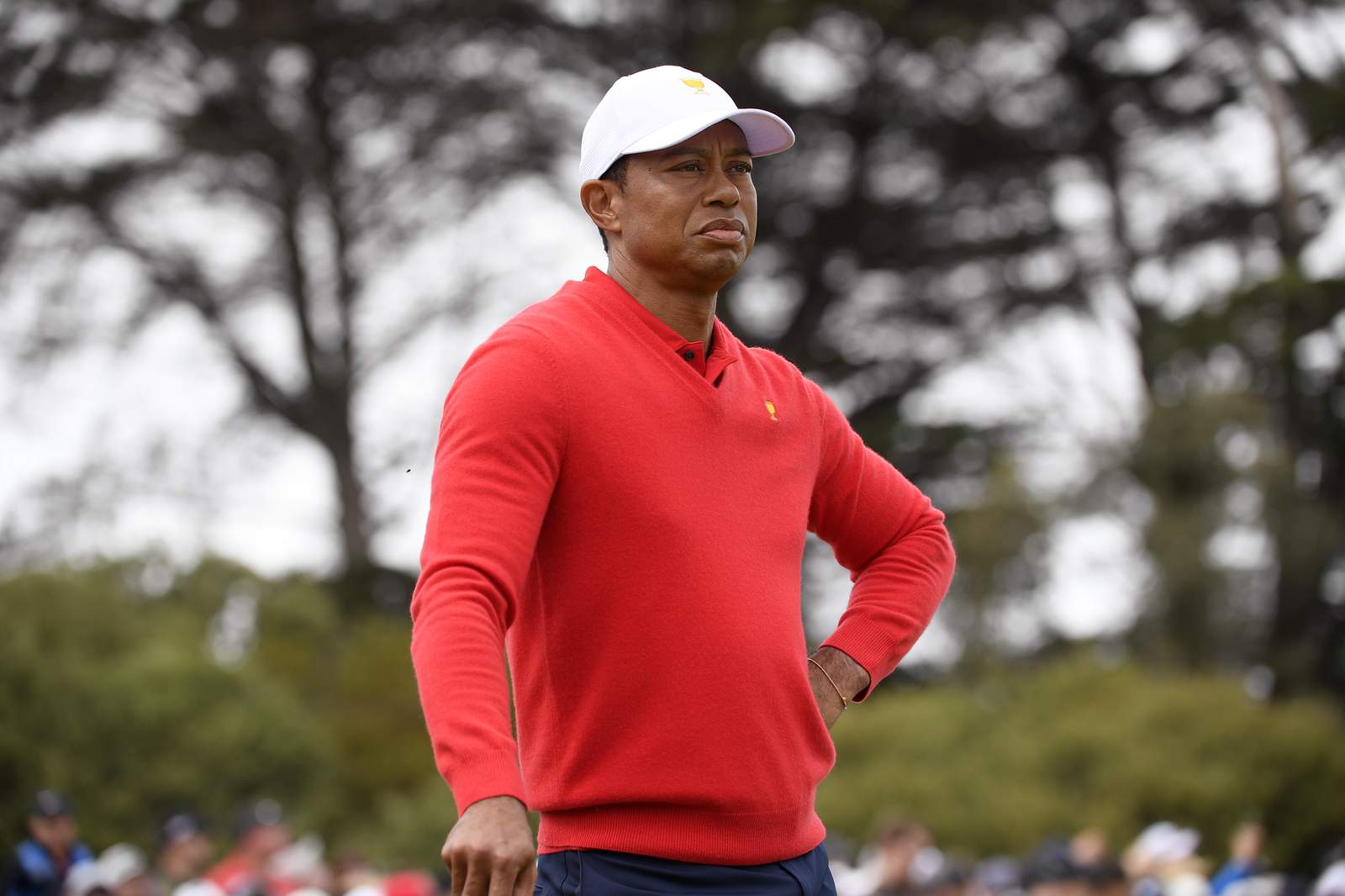 Changes to Hall of Fame and a quick entry for Tiger Woods