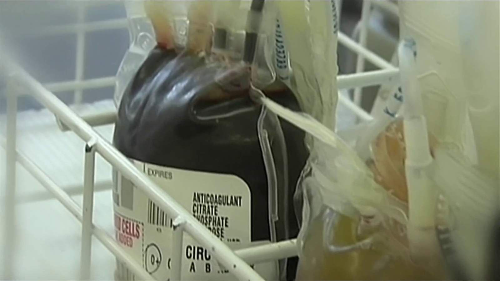Red Cross in need of blood donors amid COVID pandemic