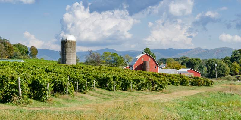 ‘Feel good is what we’re all about’: Rockbridge Vineyard and Brewery wants to help you unwind