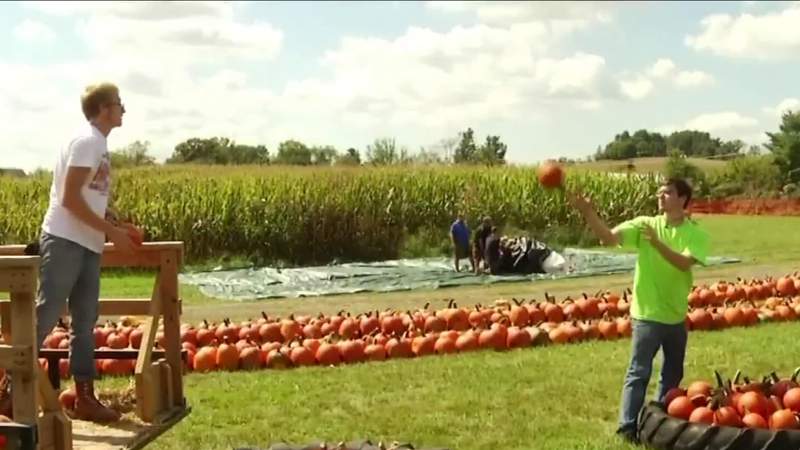 Sinkland Farms celebrating fall with 30th annual Pumpkin Festival
