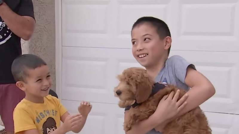 Las Vegas 8-year-old boy with birth defect gifted puppy with tiny ear