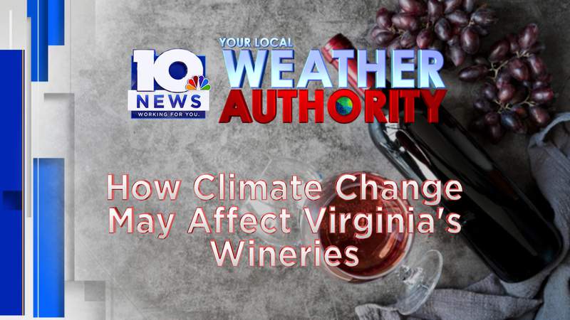 Here’s something to ‘wine’ about: climate change could affect Virginia’s wineries