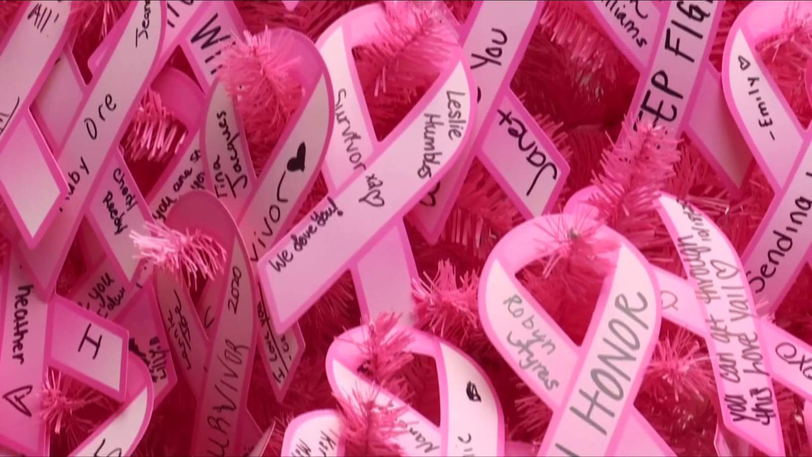 Centra, River Ridge Mall partner for ‘I Pink I Can’ fundraiser