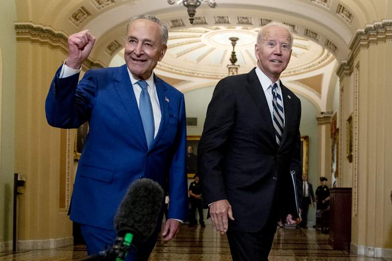 Biden pitches huge budget, says Dems will 'get a lot done'