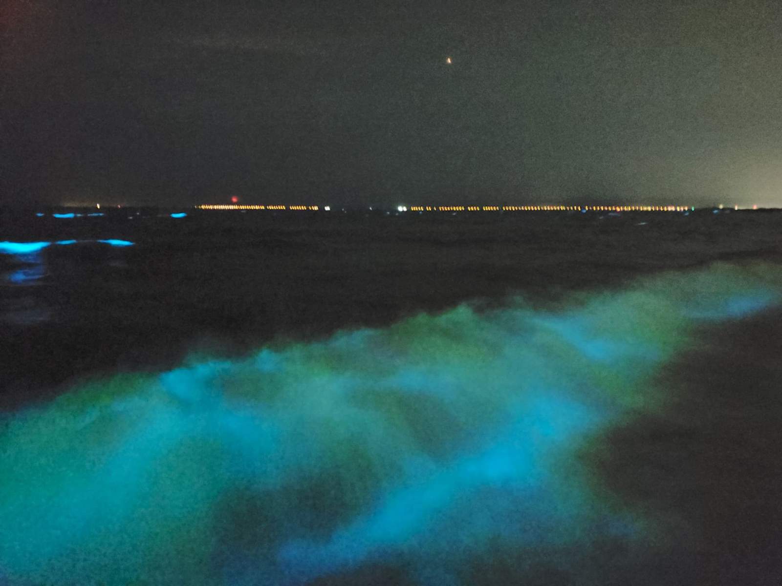 Bioluminescent algae spotted along parts of Virginia’s coastline