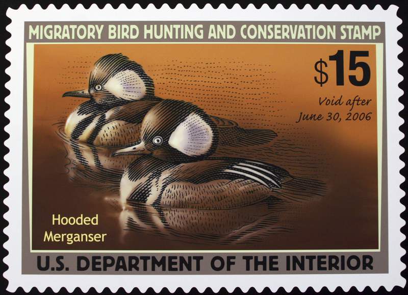 Hunting theme no longer mandatory in US duck stamp contest