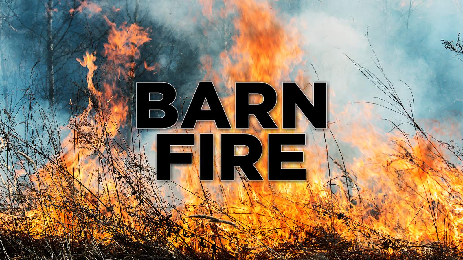 Crews on scene at Bedford barn fire