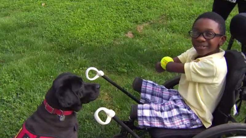 Eight-year-old Glenvar boy knows the true value of a service dog