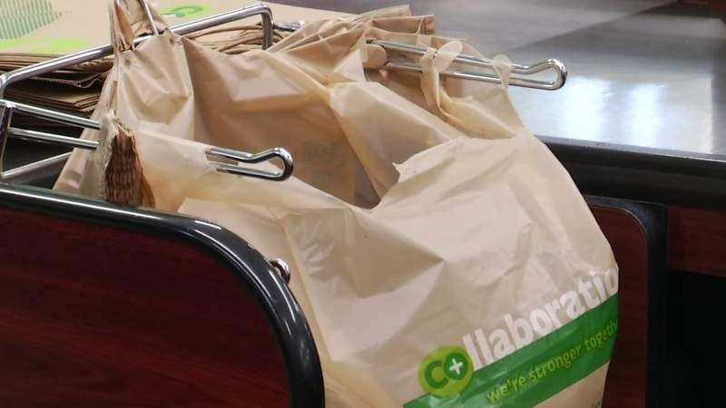 Roanoke City Council says it needs more information before approving plastic bag tax