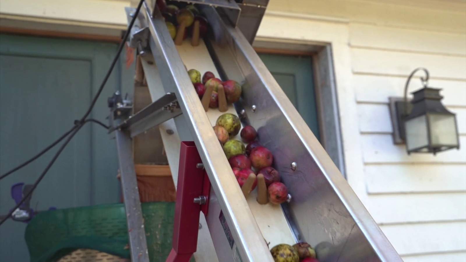 This is how simple and tedious it is to make one-of-a-kind apple cider