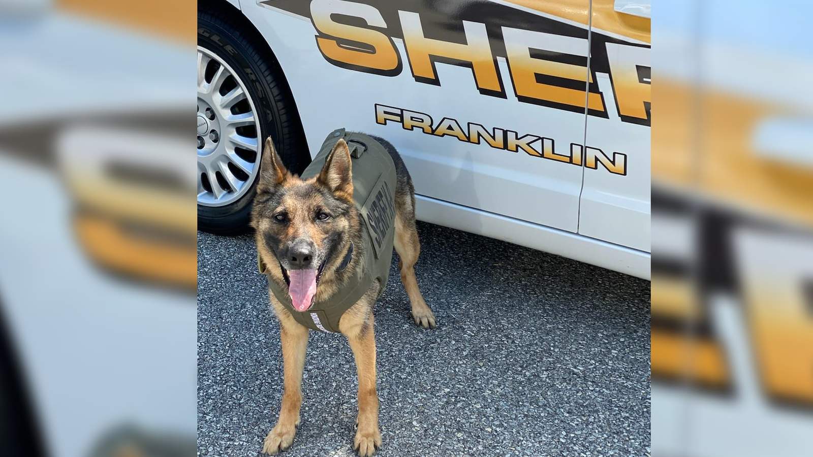 Franklin County K9 gets new body armor thanks to donation