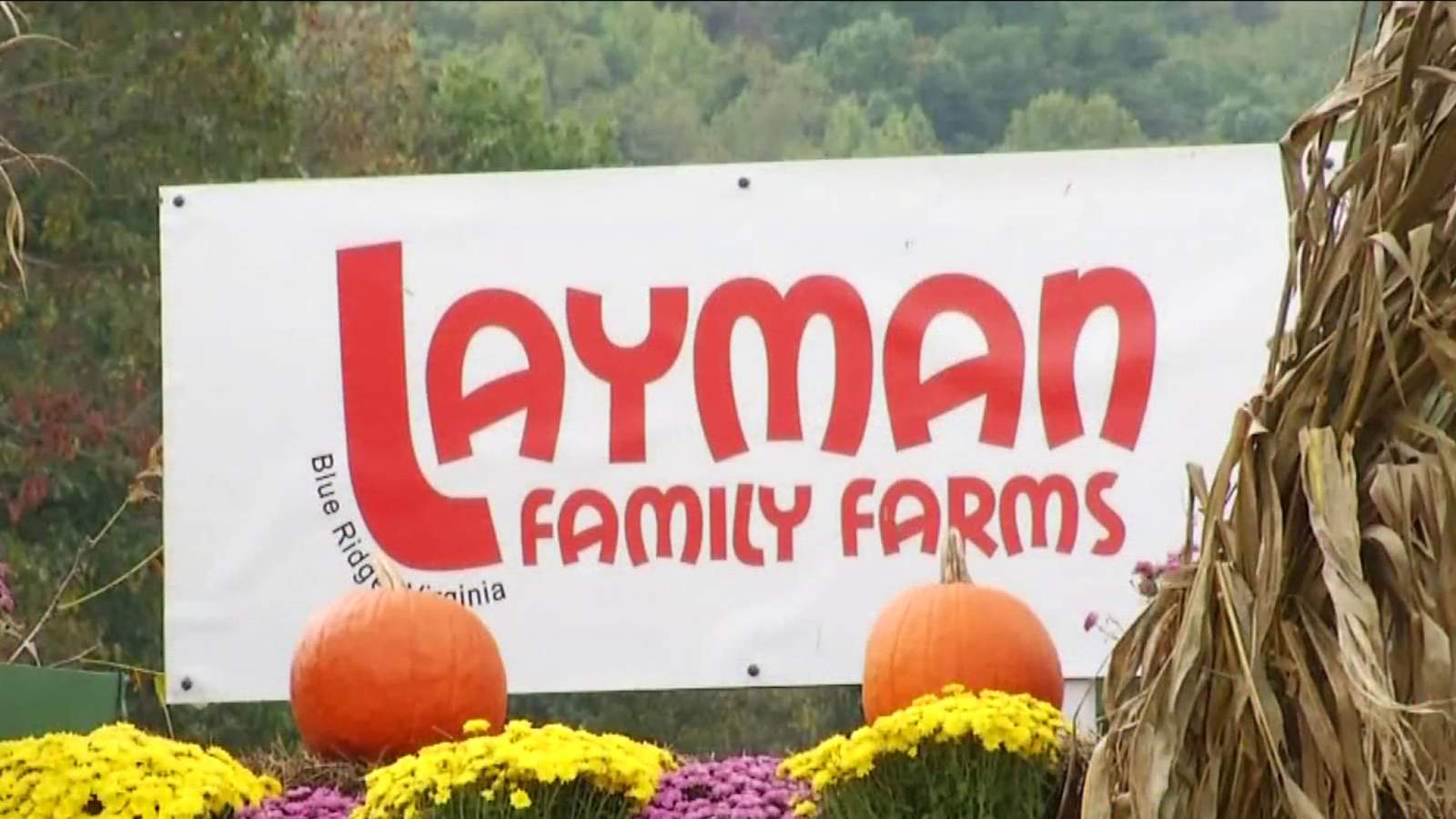 Layman Family Farms prepare to kick-off annual fall festival