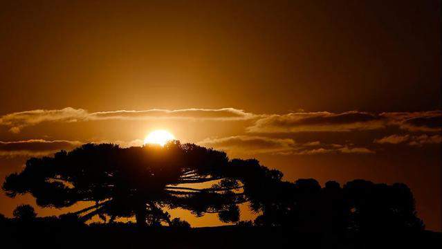 Police Department Asks Criminals To Hold Off Because Of The Heat