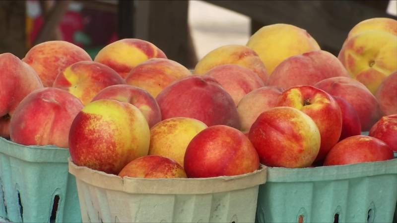 Lynchburg Community Market celebrates Virginia Farmers Market Week