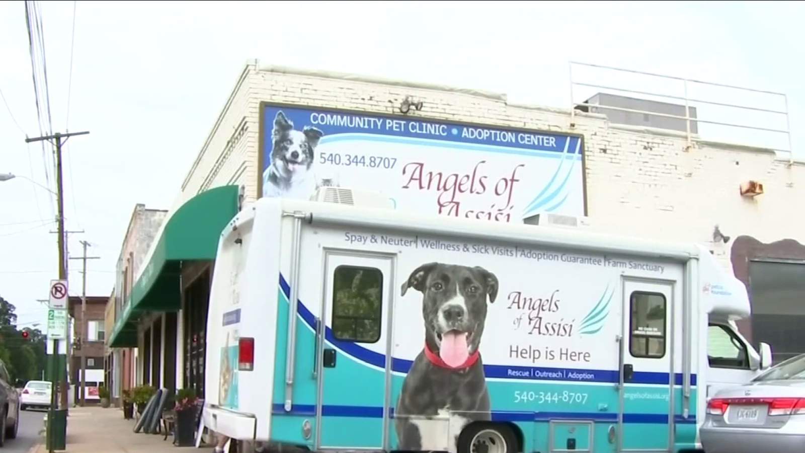 Angels of Assisi receives $500,000 grant to continue its work helping animals