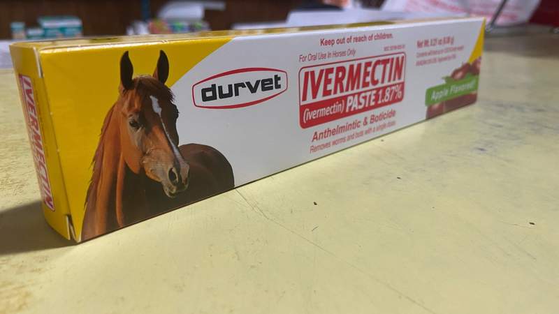 Ivermectin, a livestock medication that can be used to treat lice and other conditions in humans, has exploded in popularity as people have tried to self-medicate against COVID-19.
