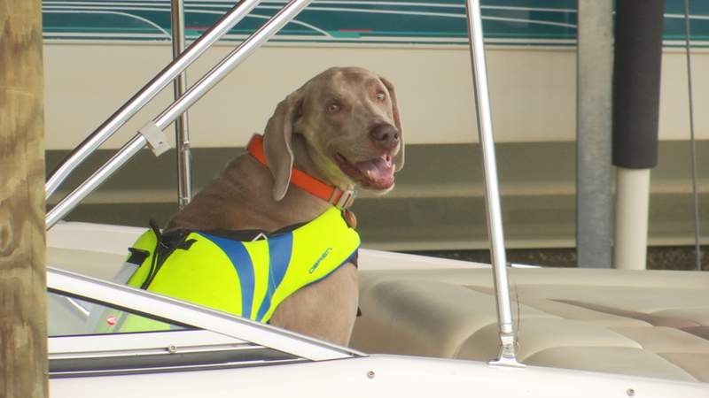 Boat safety tips to keep in mind the next time you hit the water