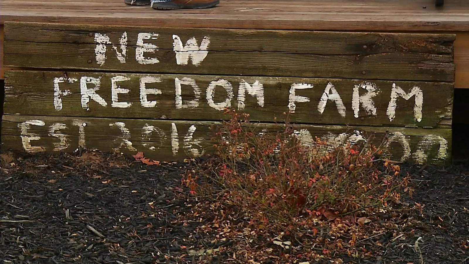 New Freedom Farm expands with community center for veterans in need