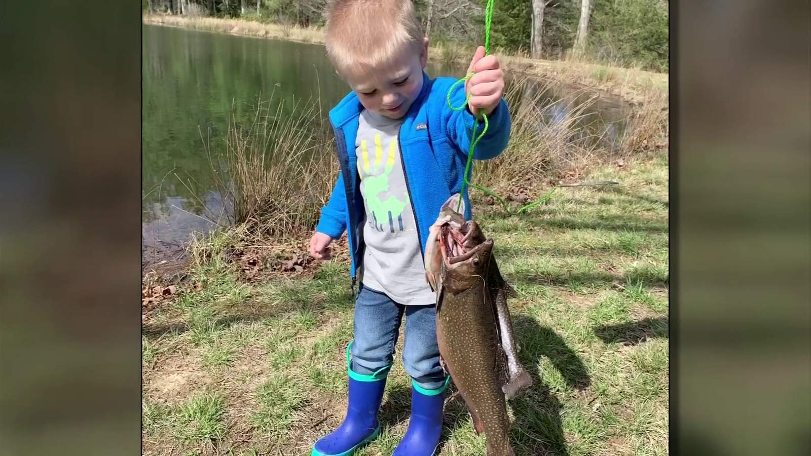 Cute video shows Giles Co. boy catching his first fish - “It’s a big one!”