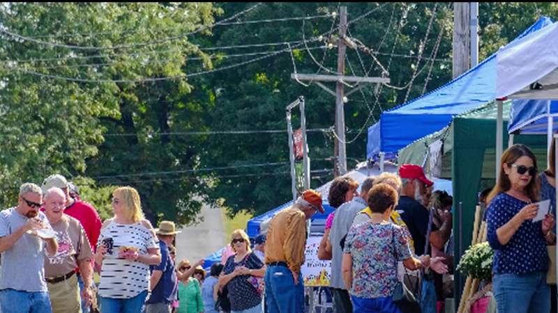 Need plans this weekend? Check out the Fincastle Arts & Crafts Festival