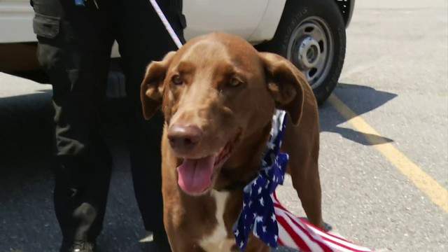 No description available