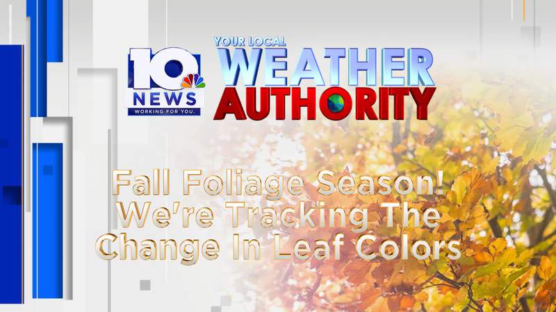 FOLIAGE WATCH: When you could see the leaves change color this year
