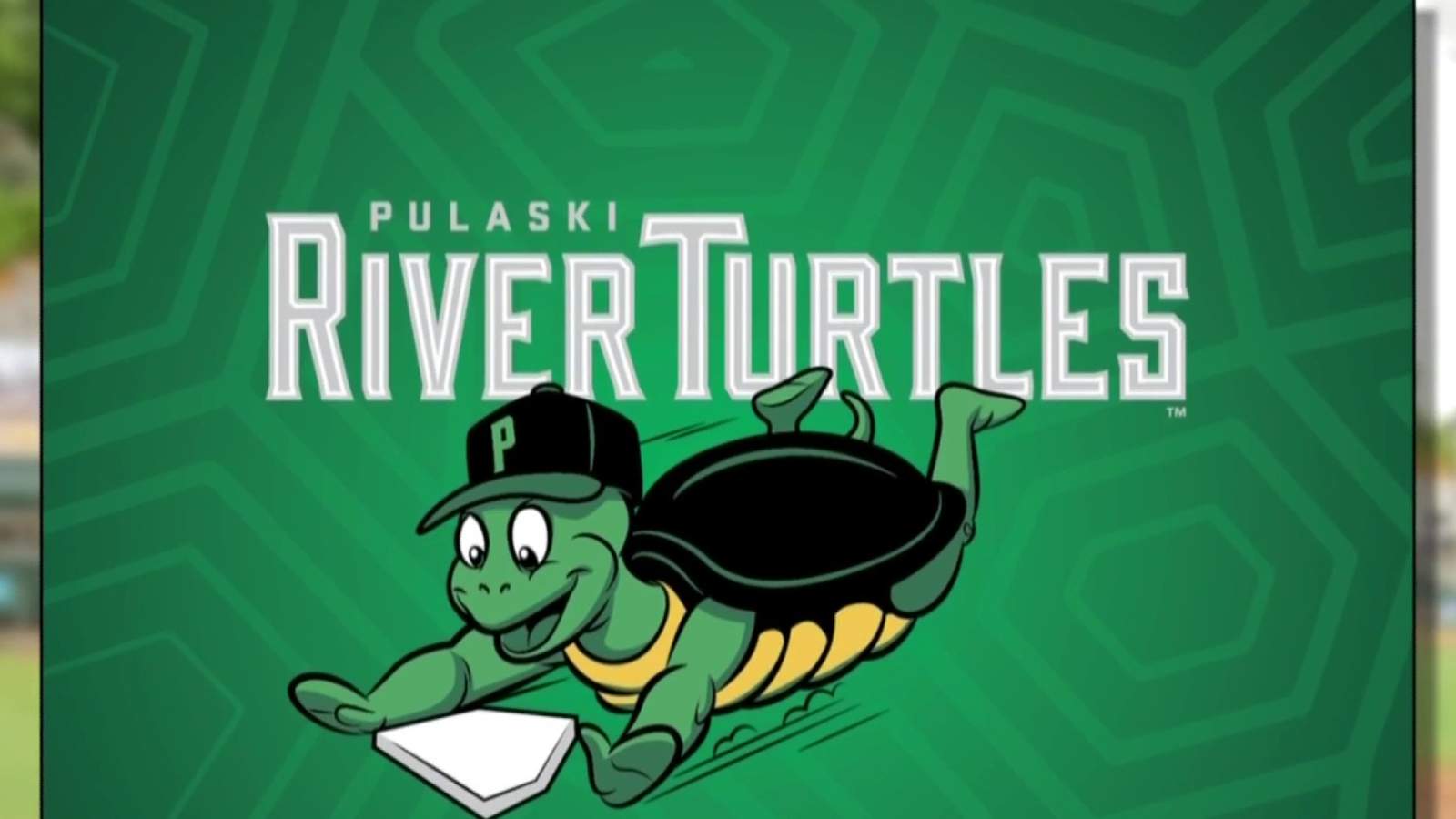 Calfee Park changes team name to the Pulaski River Turtles