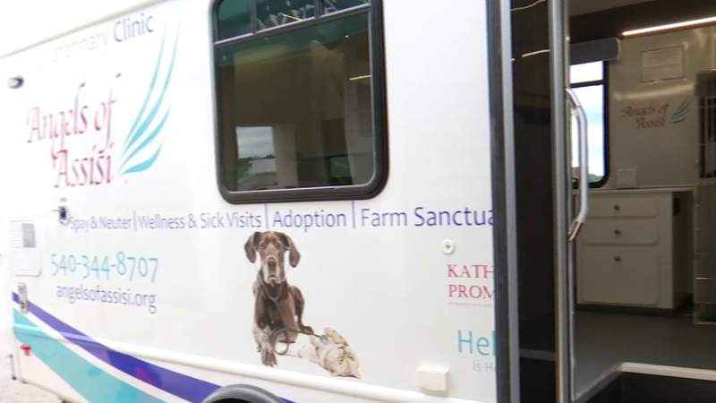 Angels of Assisi offering microchipping, shots for your cats and dogs for just $35 at Berglund Center