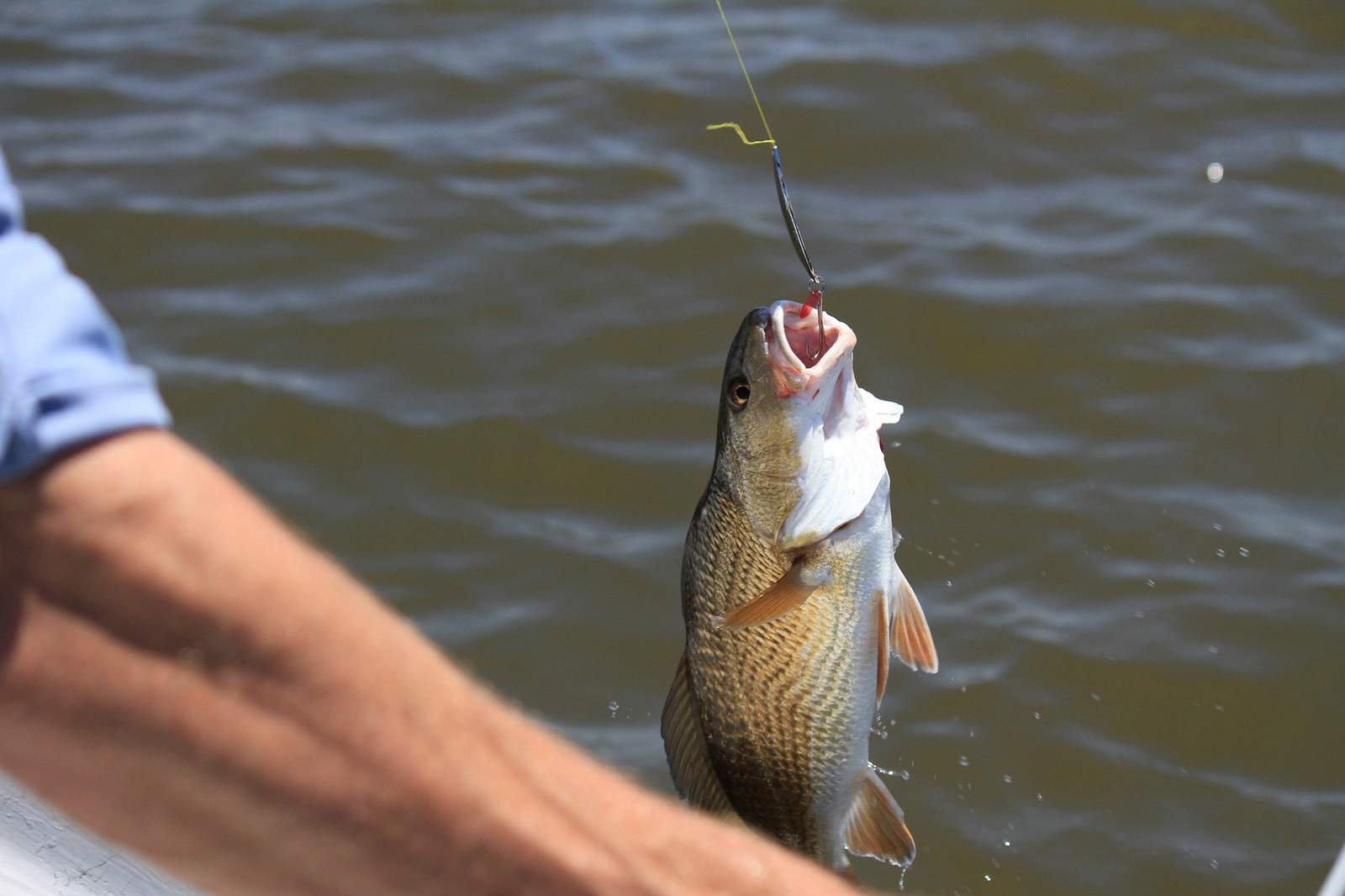 Free fishing days set for June 5-7 in Virginia