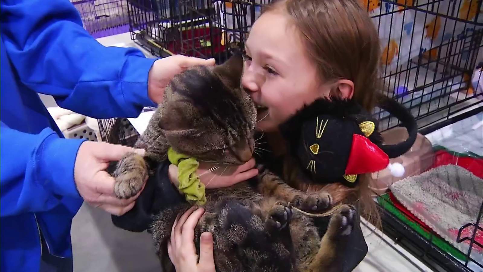 “We were looking for someone who needed us”: Pets find new homes at mass adoption event