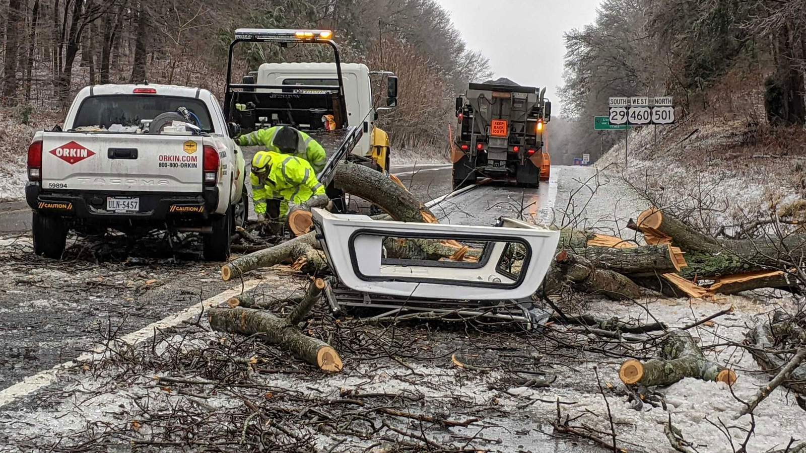 Tree falls on truck driving on US 460 in Lynchburg
