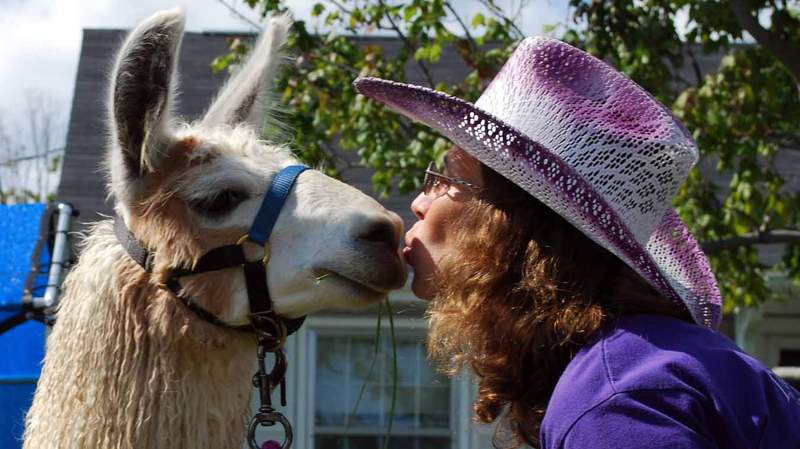 ‘Love grows here’: Henry County petting zoo offers interactive learning opportunities
