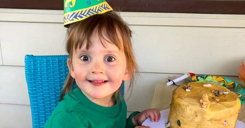 Girl, 3, requests morbid ‘Lion King’ scene on birthday cake so she can have it all to herself