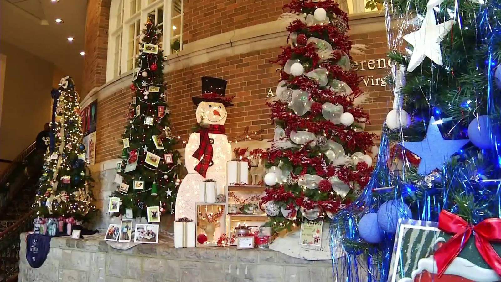 hotel roanoke christmas trees 2020 Fashions For Evergreens At Hotel Roanoke Sees 60 Increase In Money Raised For United Way hotel roanoke christmas trees 2020