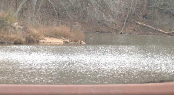 University of Lynchburg, city officials begin process to remove College Lake Dam - WSLS 10