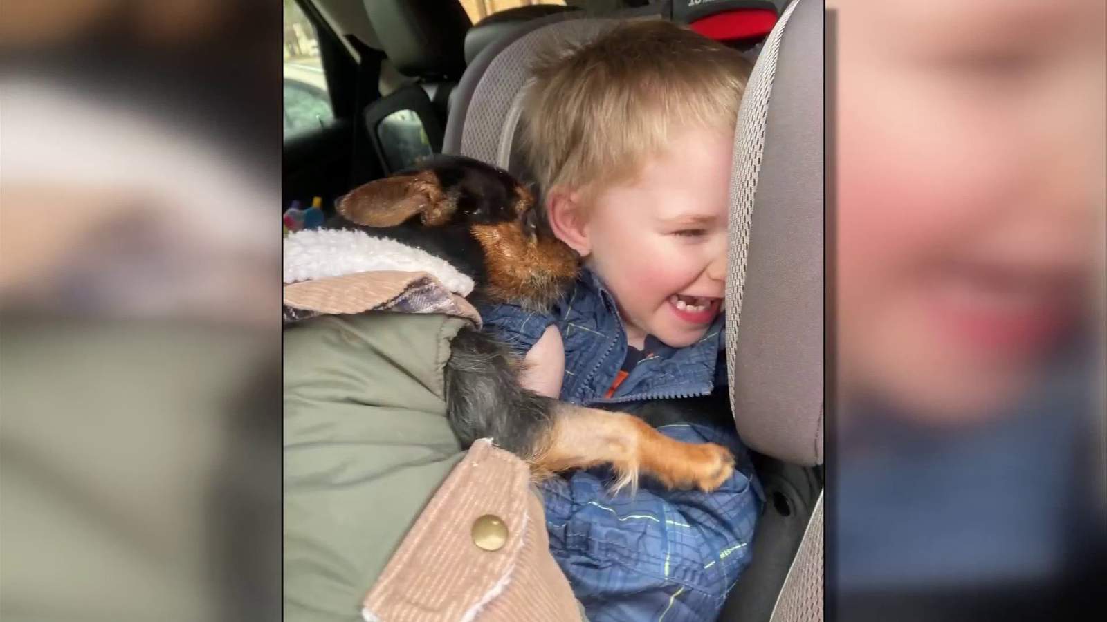 Franklin County family credits kindness of strangers for saving their dog