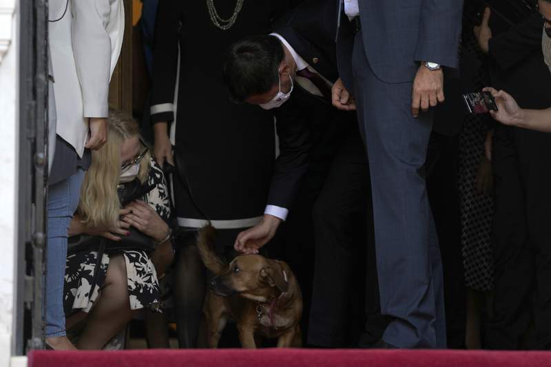 Top dog: Greek leader's pet interrupts news conference