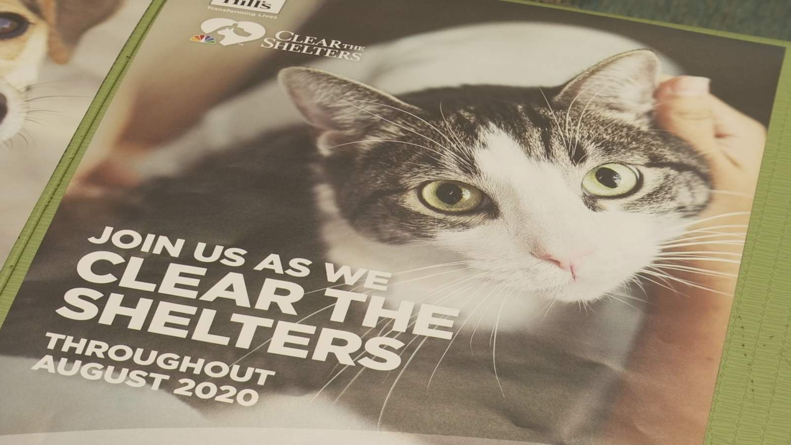 Lynchburg Humane Society prepares for Clear the Shelters annual event