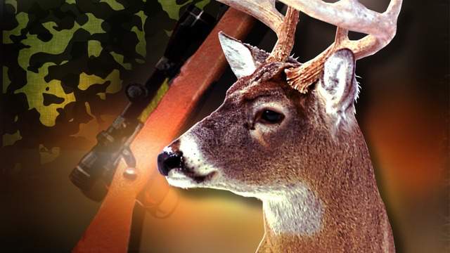 Virginia deer hunters reminded of mandatory disease sampling on Saturday