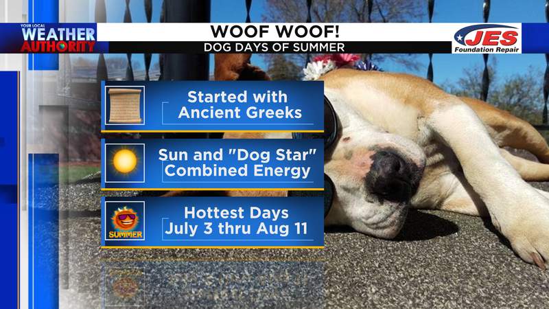 What are ‘the Dog Days of Summer’ and why do we call them that?