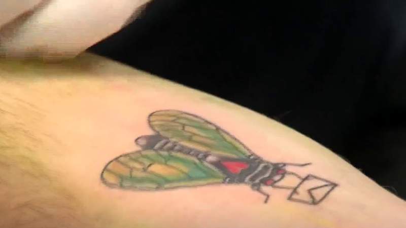 A cicada tattoo? Yup! It’s a thing!