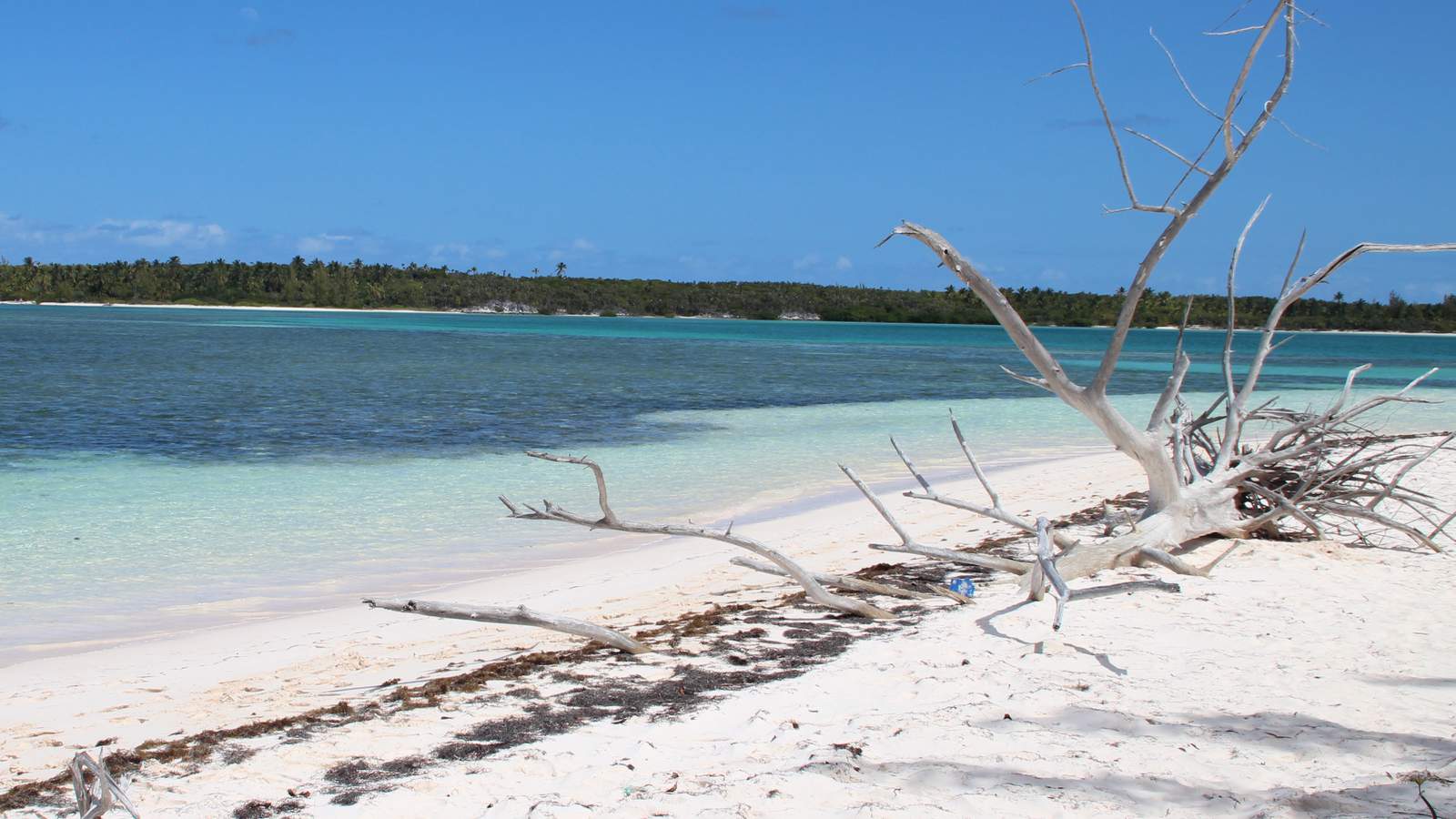 Bahamas to ban American travelers starting Wednesday