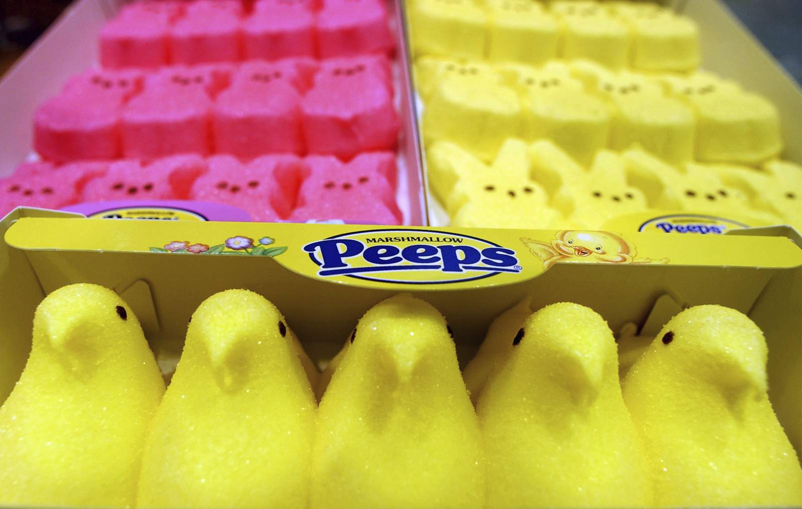 Report: There will be no Halloween or Christmas Peeps this year