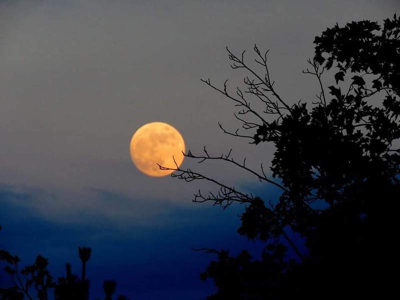 PHOTOS: Final supermoon of 2021 shines brightly over Southwest, Central Virginia