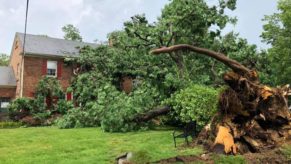 Massive tree falls, damaging Christiansburg home